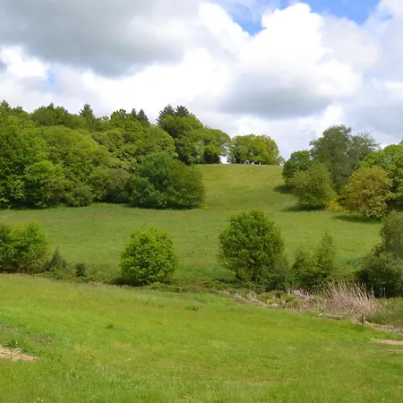 Le Bois De Lafon * Frayssinhes