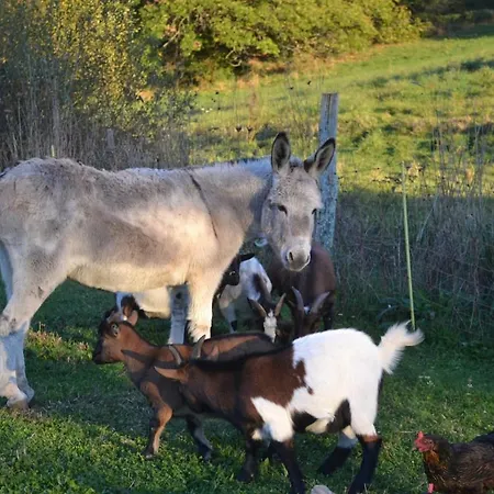 Le Bois De Lafon Frayssinhes