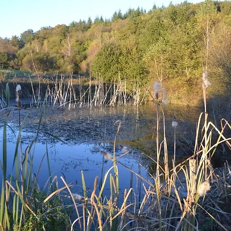 Le Bois De Lafon * Frayssinhes
