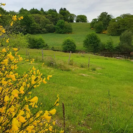 Le Bois De Lafon Сasa de vacaciones Frayssinhes