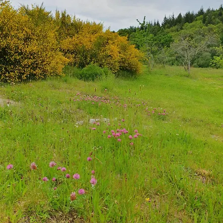 度假居 Le Bois De Lafon *