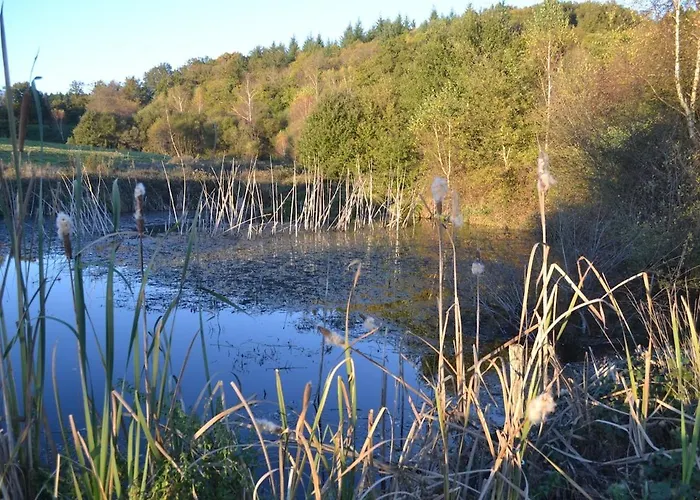 Le Bois De Lafon * Frayssinhes