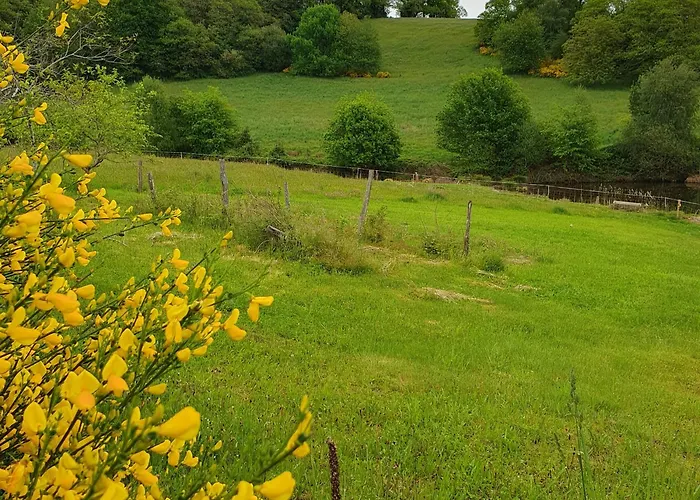 Le Bois De Lafon Ferienhaus Frayssinhes