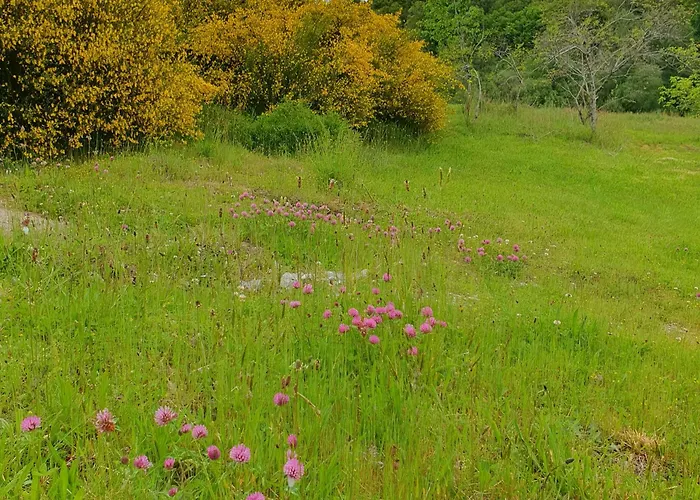 Ferienhaus Le Bois De Lafon *